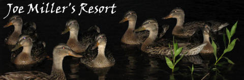 Joe Miller's Resort on Lake Bastine in Butternut, WI